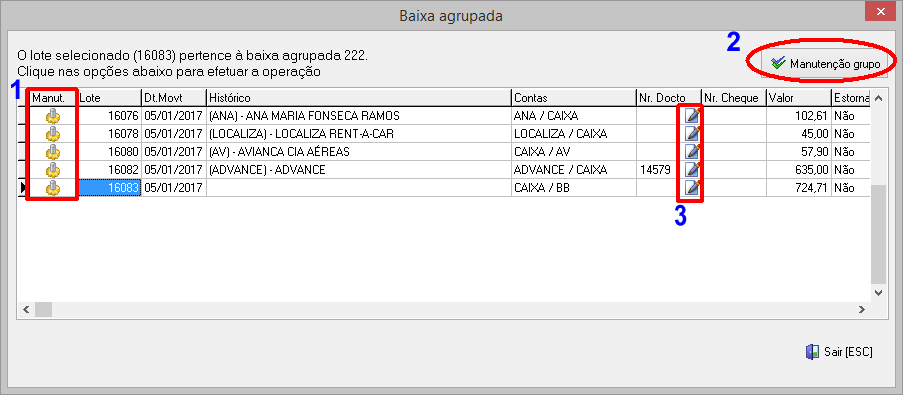 Tela de manutenção de lotes com baixa agrupada