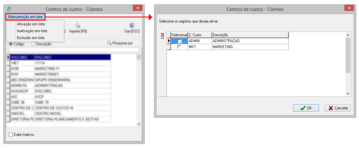Manutenção do cadastro de centro de custos em lote
