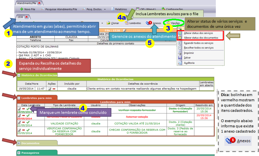 Detalhamento da ficha de atendimento
