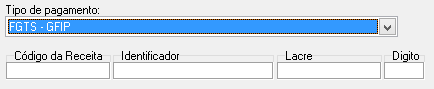 Campos adicionais para preenchimento de pagamento de FGTS-GFIP