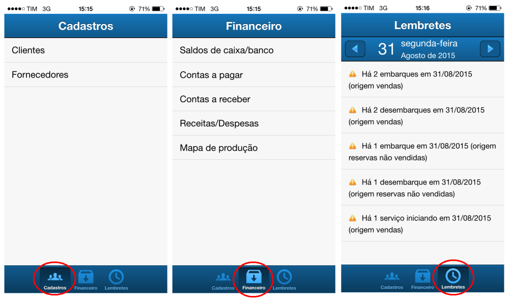 Tela inicial com os módulos disponíveis para consulta através do iPhone